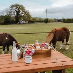 Pommiers - Parcel Tiny House - Tiny House En Normandie, Près Du Mont Saint-michel Mae-0463 Lodge Landes-sur-Ajon