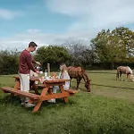 Pommiers - Parcel Tiny House - Tiny House En Normandie, Près Du Mont Saint-michel Mae-0463 * Landes-sur-Ajon