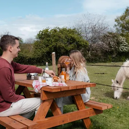 Pommiers - Parcel Tiny House - Tiny House En Normandie, Près Du Mont Saint-michel Mae-0463 Landes-sur-Ajon